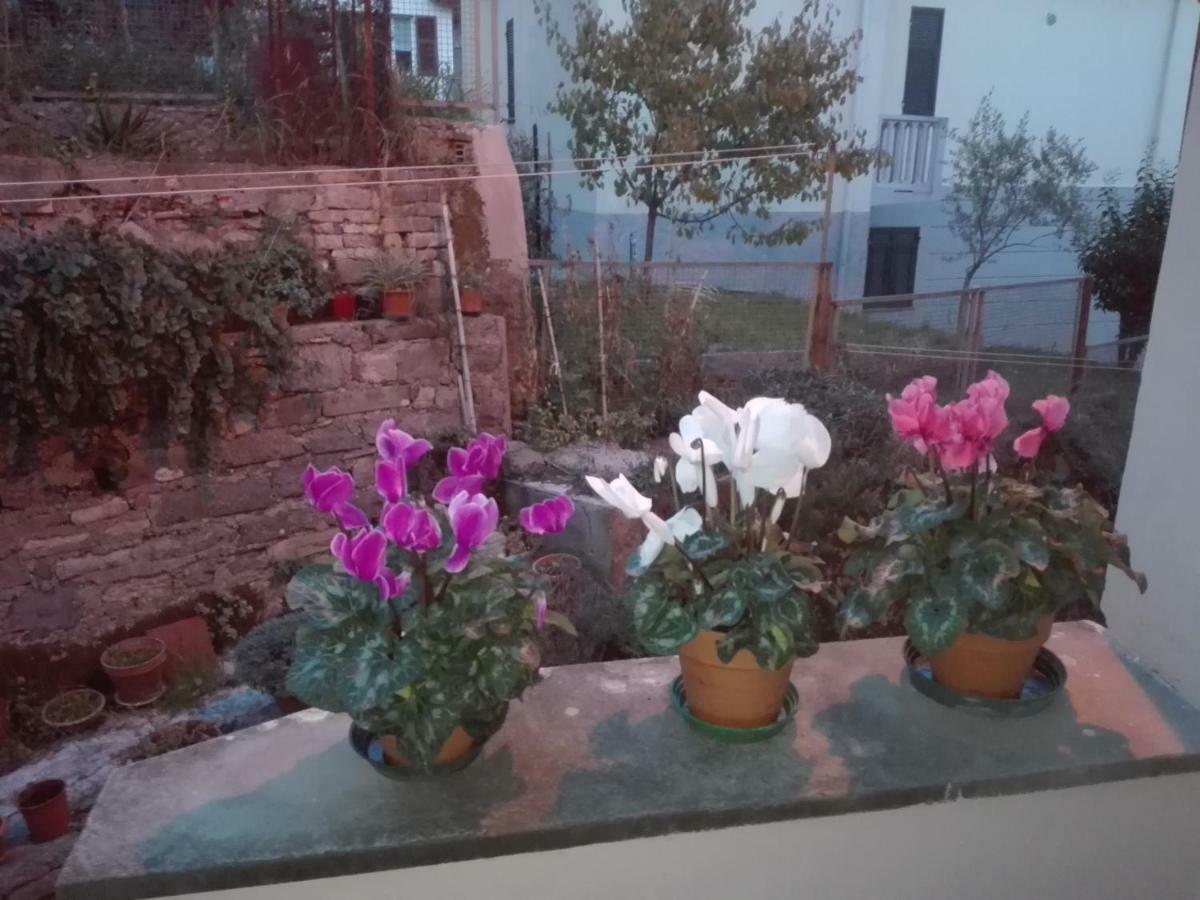 Il Borgo Antico Appartement La Spezia Buitenkant foto